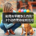 肩周炎早期怎么自测？3个动作帮你发现信号（图3）