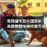 骨质增生致左腿发麻？关键看腰椎神经是否受压（图2）