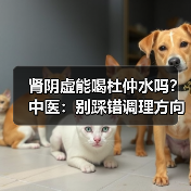 肾阴虚能喝杜仲水吗？中医：别踩错调理方向