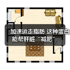 加速运走脂肪 这种蛋白能帮肝脏“减肥”（图4）