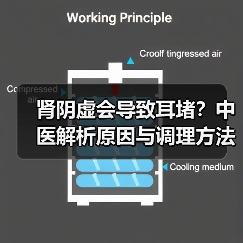 肾阴虚会导致耳堵？中医解析原因与调理方法（图4）