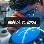 蹲跳爬行灵活大脑（图4）