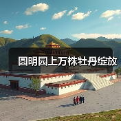 圆明园上万株牡丹绽放（图3）