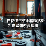 白花蛇舌草水辅助抗炎?这些知识要理清(图2) 白花蛇舌草水辅助抗炎?这些知识要理清(图2)