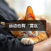 运动也有“雷区”