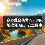 穿心莲会伤肾吗？用药前搞懂3点，安全用中药不踩坑（图3）