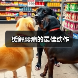 缓解腰痛的最佳动作(图2) 缓解腰痛的最佳动作(图2)