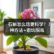 石斛怎么吃更科学?3种方法+避坑指南(图2) 石斛怎么吃更科学?3种方法+避坑指南(图2)