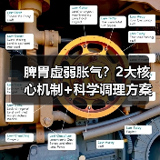 脾胃虚弱胀气？2大核心机制+科学调理方案帮你缓解