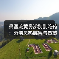 鼻塞流黄鼻涕别乱吃药：分清风热感冒与鼻窦炎，避免延误病情