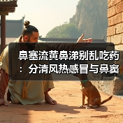 鼻塞流黄鼻涕别乱吃药：分清风热感冒与鼻窦炎，避免延误病情（图2）