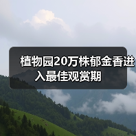 植物园20万株郁金香进入最佳观赏期(图3) 植物园20万株郁金香进入最佳观赏期(图3)