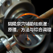 阴陵泉穴辅助祛痰湿：原理、方法与综合调理（图2）