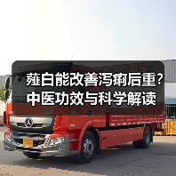 薤白能改善泻痢后重?中医功效与科学解读(图2) 薤白能改善泻痢后重?中医功效与科学解读(图2)