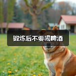 锻炼后不要喝啤酒（图2）