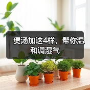 煲汤加这4样，帮你温和调湿气