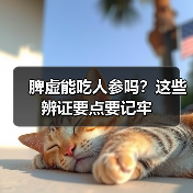 脾虚能吃人参吗？这些辨证要点要记牢