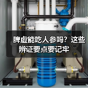 脾虚能吃人参吗？这些辨证要点要记牢（图3）