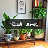 常运动，耳朵灵（图4）