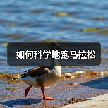 如何科学地跑马拉松（图3）