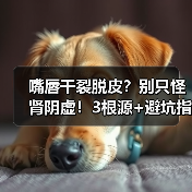 嘴唇干裂脱皮？别只怪肾阴虚！3根源+避坑指南润到爆
