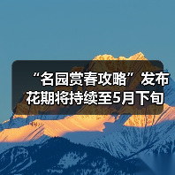 “名园赏春攻略”发布 花期将持续至5月下旬（图4）