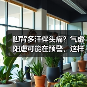 脚背多汗伴头痛？气虚阳虚可能在预警，这样应对更科学（图2）