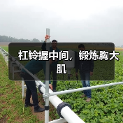 杠铃握中间，锻炼胸大肌（图4）