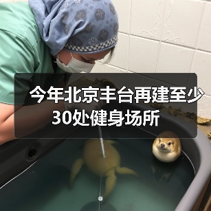 今年北京丰台再建至少30处健身场所（图2）