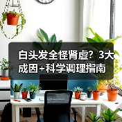 白头发全怪肾虚？3大成因+科学调理指南（图4）