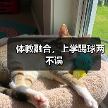 体教融合，上学踢球两不误（图4）