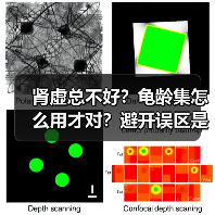 肾虚总不好?龟龄集怎么用才对?避开误区是关键(图1) 肾虚总不好?龟龄集怎么用才对?避开误区是关键(图1)