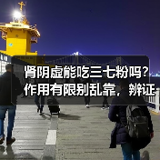肾阴虚能吃三七粉吗?作用有限别乱靠,辨证调理是关键(图2) 肾阴虚能吃三七粉吗?作用有限别乱靠,辨证调理是关键(图2)