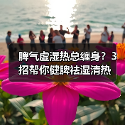 脾气虚湿热总缠身？3招帮你健脾祛湿清热