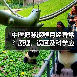 中医把脉能辨月经异常？原理、误区及科学应对指南