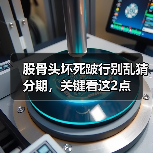 股骨头坏死跛行别乱猜分期,关键看这2点(图2) 股骨头坏死跛行别乱猜分期,关键看这2点(图2)