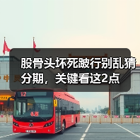 股骨头坏死跛行别乱猜分期,关键看这2点(图4) 股骨头坏死跛行别乱猜分期,关键看这2点(图4)