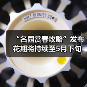 “名园赏春攻略”发布 花期将持续至5月下旬（图2）