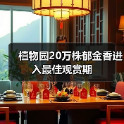 植物园20万株郁金香进入最佳观赏期（图2）