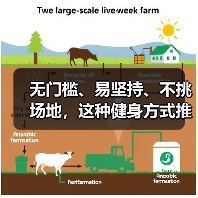 无门槛、易坚持、不挑场地，这种健身方式推荐给所有人（图2）