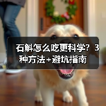 石斛怎么吃更科学?3种方法+避坑指南(图3) 石斛怎么吃更科学?3种方法+避坑指南(图3)