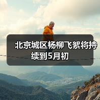 北京城区杨柳飞絮将持续到5月初(图4) 北京城区杨柳飞絮将持续到5月初(图4)