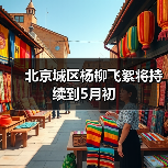 北京城区杨柳飞絮将持续到5月初(图2) 北京城区杨柳飞絮将持续到5月初(图2)