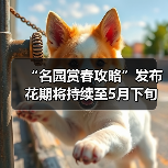 “名园赏春攻略”发布 花期将持续至5月下旬（图2）