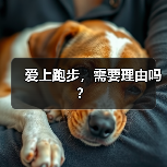 爱上跑步，需要理由吗？（图2）