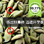 练出好身体 迈进开学季(图4) 练出好身体 迈进开学季(图4)