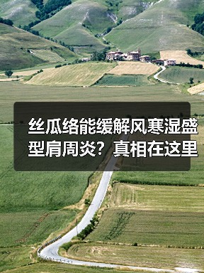 丝瓜络能缓解风寒湿盛型肩周炎?真相在这里(图4) 丝瓜络能缓解风寒湿盛型肩周炎?真相在这里(图4)