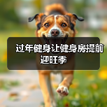 过年健身让健身房提前迎旺季(图2) 过年健身让健身房提前迎旺季(图2)