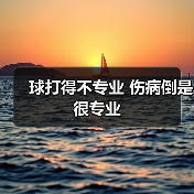 球打得不专业 伤病倒是很专业(图1) 球打得不专业 伤病倒是很专业(图1)