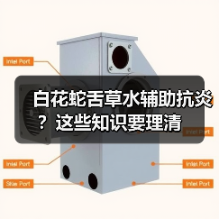 白花蛇舌草水辅助抗炎？这些知识要理清（图1）